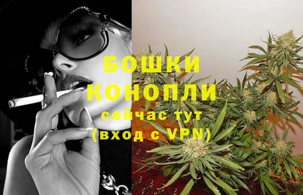дмт Дмитровск
