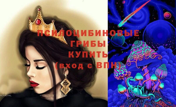 дмт Дмитровск