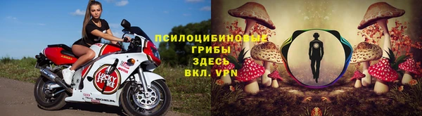 дмт Дмитровск